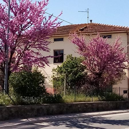 Bedandbiking Panzió Cortona Kültér fotó