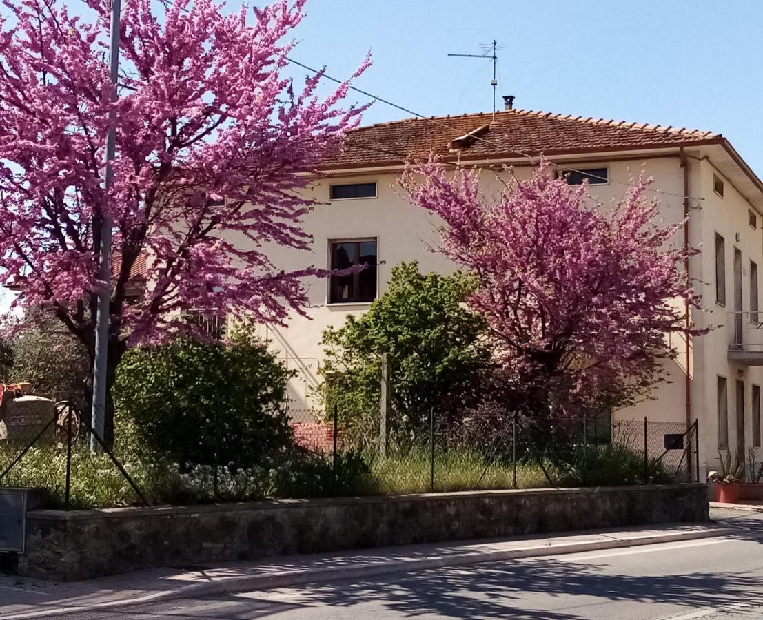 Bedandbiking Panzió Cortona Kültér fotó
