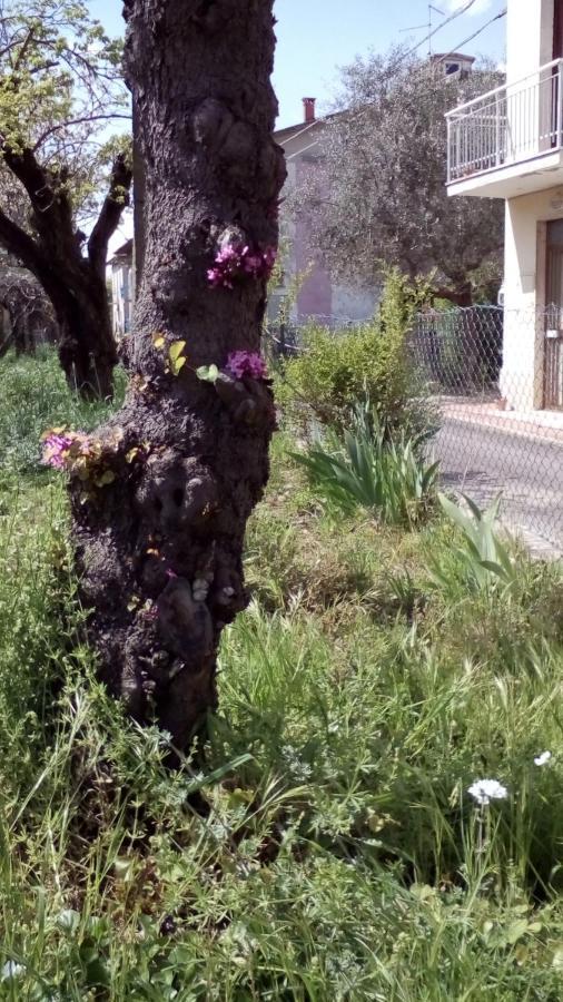 Bedandbiking Panzió Cortona Kültér fotó